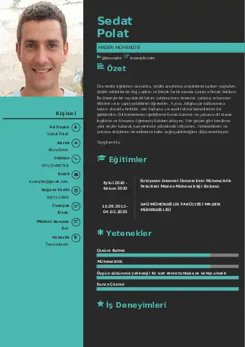 Maden Mühendisi Cv Örnekleri cv indir